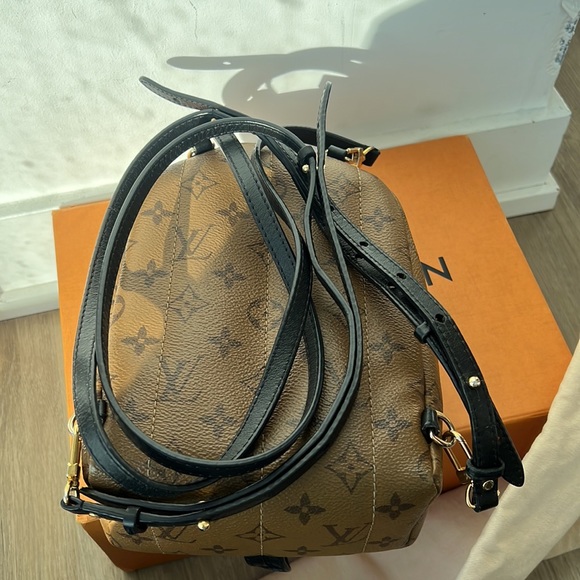 Palm Springs Mini Reverse Monogram - Picture 17 of 17